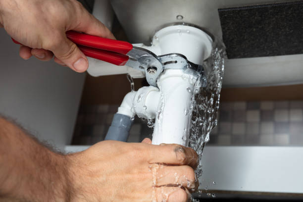 Best Flood damage cleanup  in Taft, FL