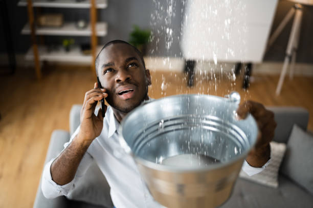 Best Flood restoration services  in Taft, FL