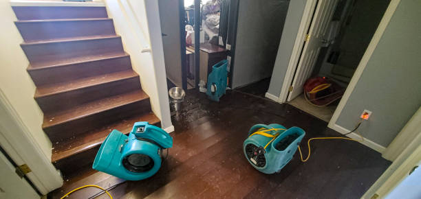 Best Water damage restoration near me  in Taft, FL