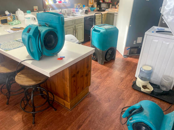 Best Water damage cleanup near me  in Taft, FL