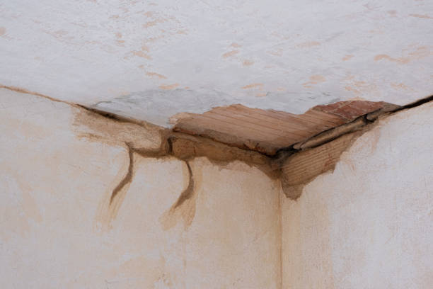 Best Basement water damage restoration  in Taft, FL