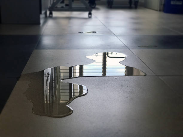 Best 24/7 water damage repair  in Taft, FL