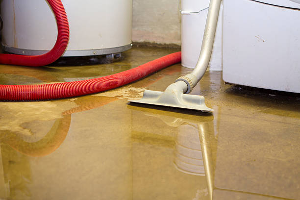 Best Flood damage cleanup  in Taft, FL