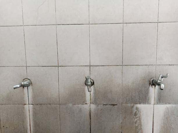 Best Carpet water damage restoration  in Taft, FL