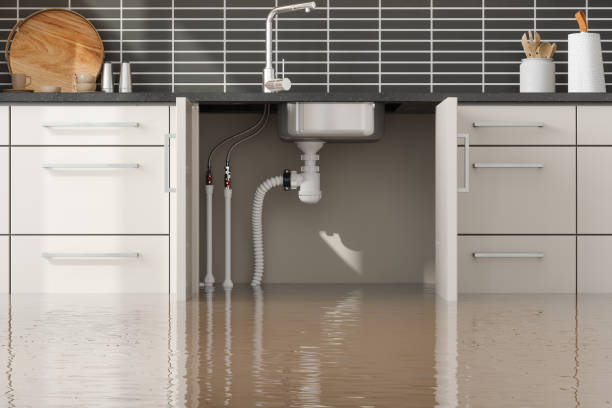 Best Carpet water damage restoration  in Taft, FL