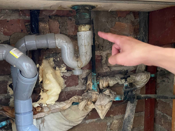 Best Flooded house restoration  in Taft, FL