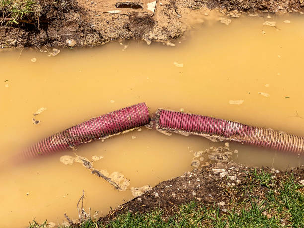 Best Water damage restoration near me  in Taft, FL
