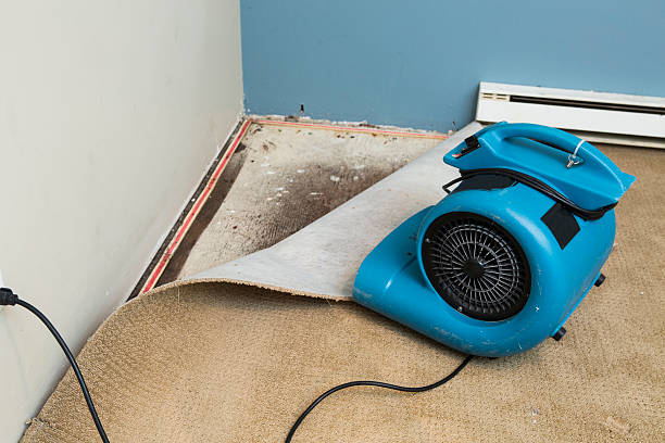 Sewage cleanup and water damage restoration in Taft, FL